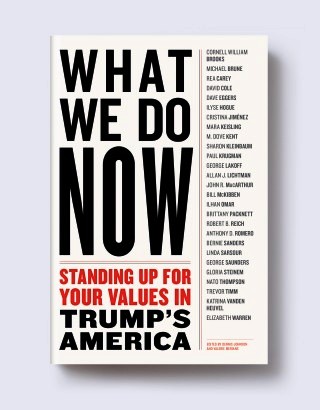 New Book is a must read for Trump Resistance 