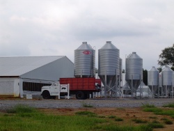 Farmers appeal filed in hog farm case