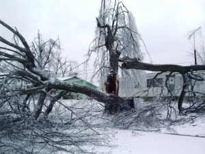 Top 10 National Weather Service events for Paducah area