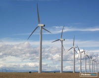 Riley named Pickens Plan KY state leader