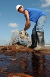Gulf states fear long-term fiscal effects of oil disaster