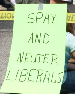 Tea Party Rally Messages