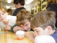 MSAC coming to Ballard Elementary