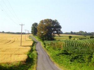 Farm subsidies proposal - cut three billion