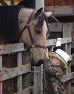 Patsy Brandt shares love of horses in photos