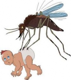 State fighting back against post flood mosquito invasion
