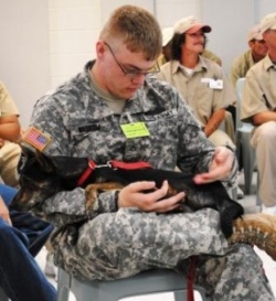 Death Row Dogs and Dogs2Vets - graduation and launch day