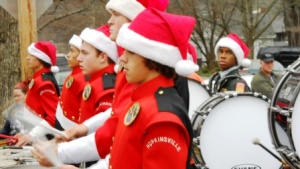 Local officials and bands participate in Inaugural Parade