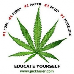 Ag Committee passes hemp bill- Comer urges full House vote 