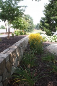 Mark Wilson takes us on a tour of his town