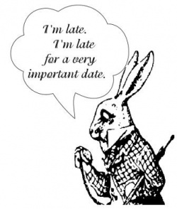 A white rabbit moment at Fancy Farm 