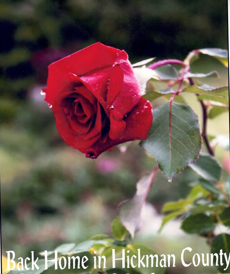 Rule 7 - Look for and connect with the beauty in your life   Rules for Embracing Life in the 21st Century 