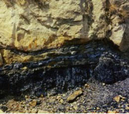 Kentuckians using less electricity - and less coal