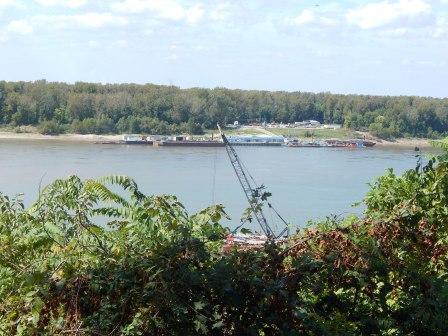 Barge Collision dumps 120,000 gallons of oil into Mississippi River