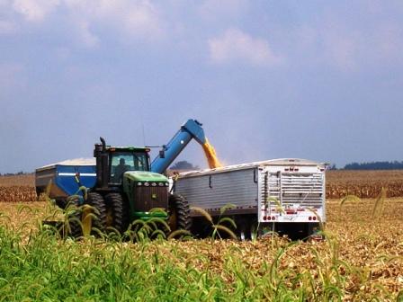 St. Louis Federal Reserve Report 5 Years of Depression for Region Farmers