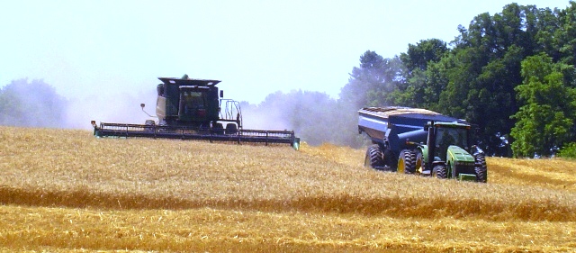 21st Century Mega Farming Takes Hold in Four River Counties