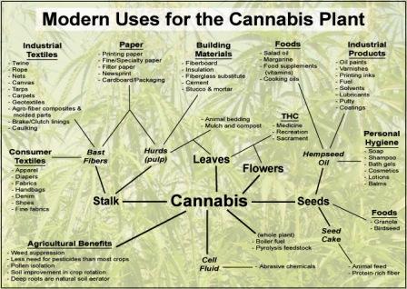COMER PREDICTS BIG FUTURE FOR INDUSTRIAL HEMP IN SPEECH TO HEMP INDUSTRIES ASSOCIATION