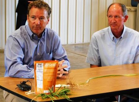 Hemp: the holy grail for West Kentucky farmers