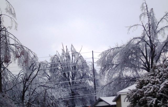 2009 Ice Storm Day One: Isn't It Pretty?