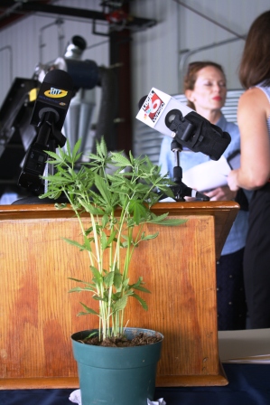 Ag Commissioner takes fight for hemp production to feds