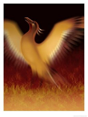 Project Phoenix from Oracle